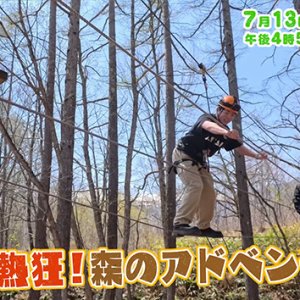 絶叫！熱狂！森のアドベンチャーパーク！（藤森慎吾の信州観光協会・2025年7月13日の放送内容）