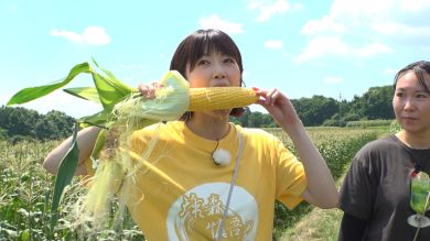 藤森慎吾　樋口日奈　元乃木坂46　信濃町　トウモロコシ　もろこし街道　フルーツコーン　試食