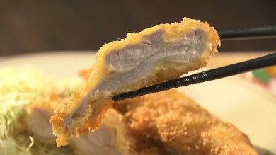 チキンカツ定食　チキンカツ　安曇野市