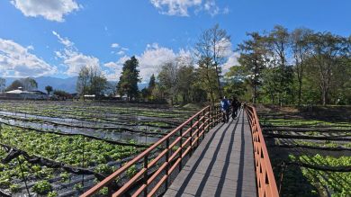 安曇野　大王わさび農場　藤森慎吾