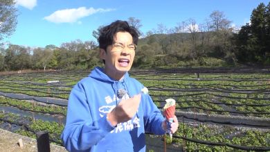 ワサビ　ソフトクリーム　藤森慎吾