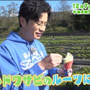 ブランドワサビのルーツに迫る！（2025年12月7日の放送内容)