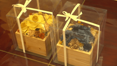 藤森慎吾　プレゼント