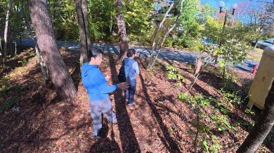 藤森慎吾　ビンゴ　フィールドビンゴ　自然観察