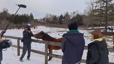 藤森慎吾　信州観光協会　木曽町　木曽馬　樋口日奈　