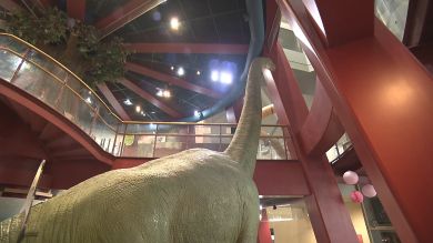 藤森慎吾の信州観光協会　佐久市　体験型ミュージアム