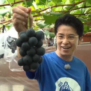 宝石のような輝き！生坂村産ブドウ（2026年9月27日の放送内容)