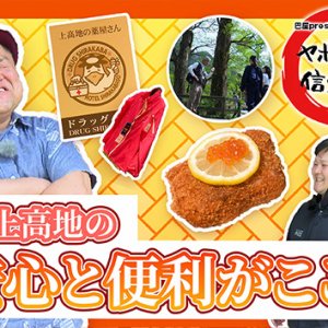 上高地の安心と便利がここに「上高地ホテル白樺荘」・2025年7月3日
