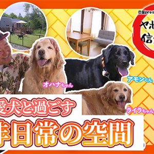 愛犬と過ごす 非日常の空間「ENREI DOG VILLA ATTRAIT」・2025年8月7日