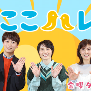 ここハレ（2026年4月17日の放送内容）