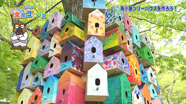 小諸の森に鳥小屋ツリーハウスを作ろう