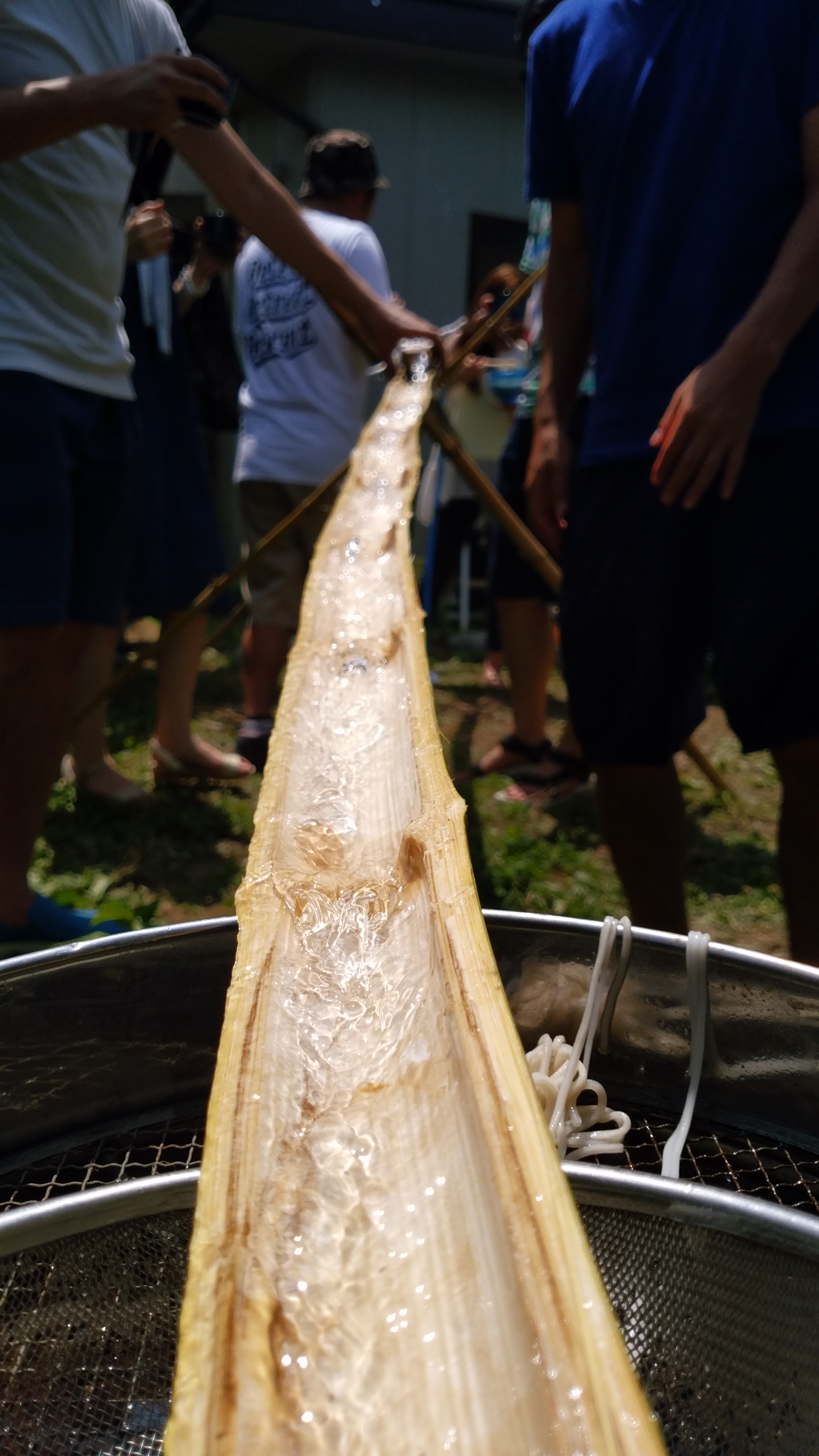 夏って感じ