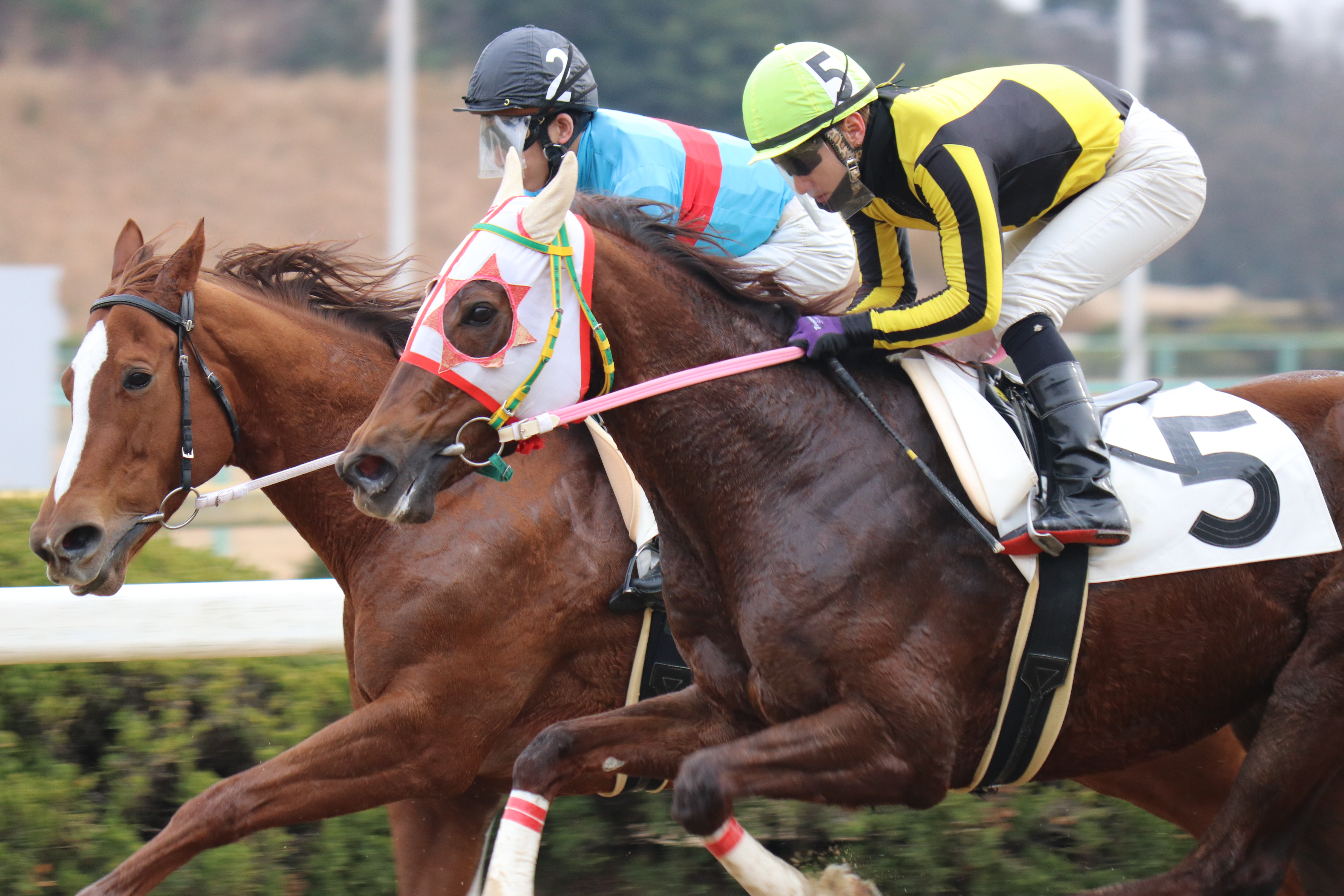 夏休みのおはなし～佐賀競馬編～