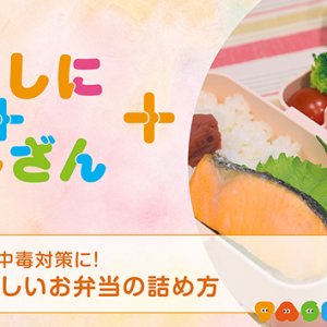 食中毒対策に！～正しいお弁当の詰め方～ 【健康】（2026年7月1日放送）