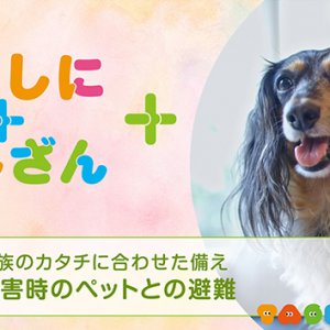 家族のカタチに合わせた備え～災害時のペットとの避難～【防災】（2026年9月30日放送）