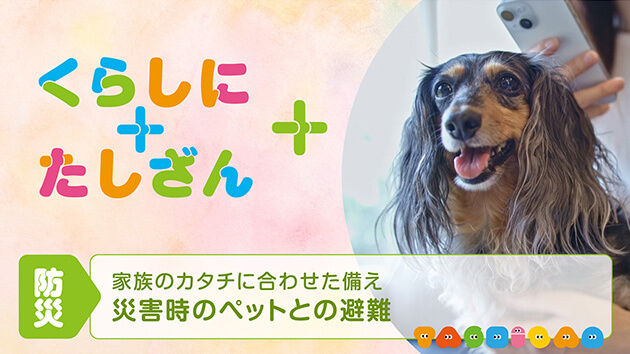 家族のカタチに合わせた備え～災害時のペットとの避難～【防災】
