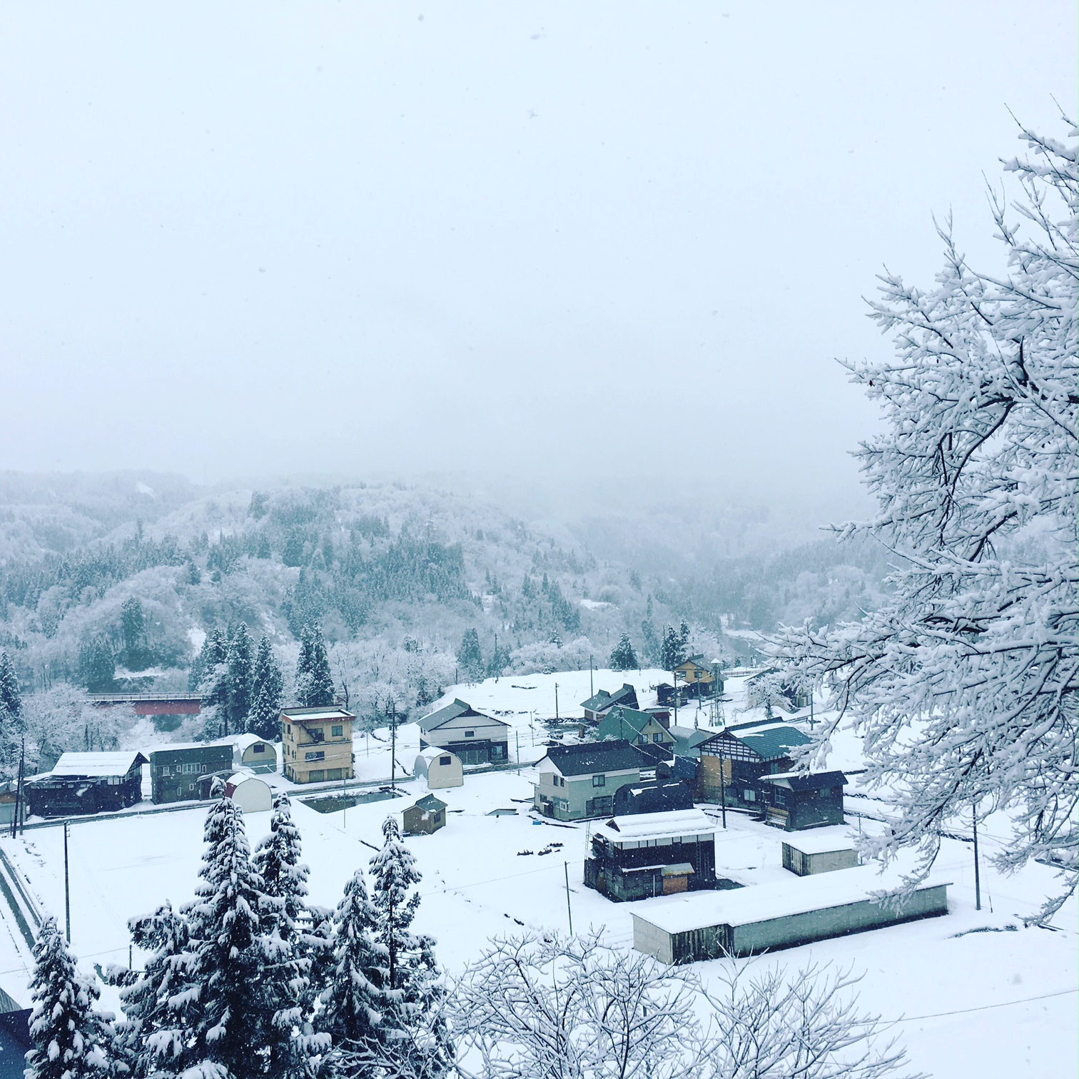 豪雪地の冬の味