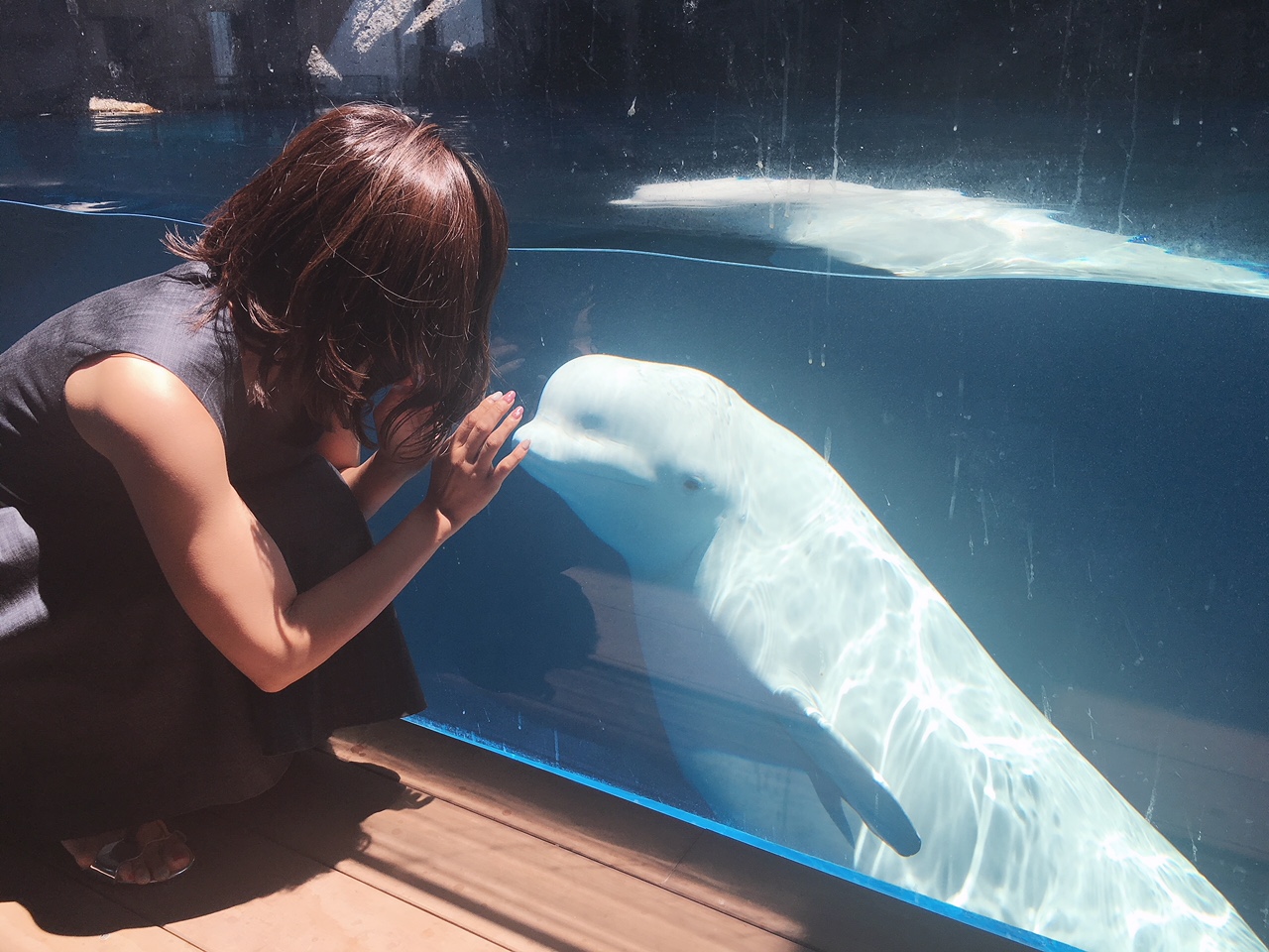 長野の海！カムバック