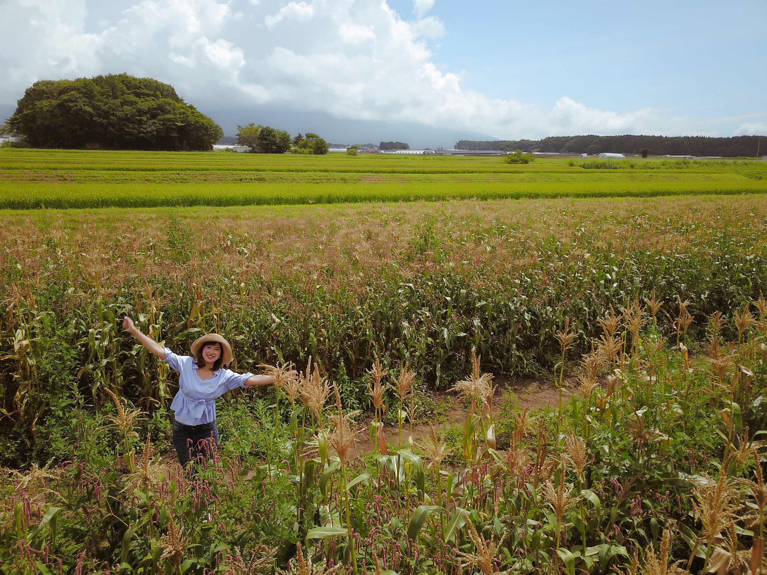 朝だ！生です旅サラダ