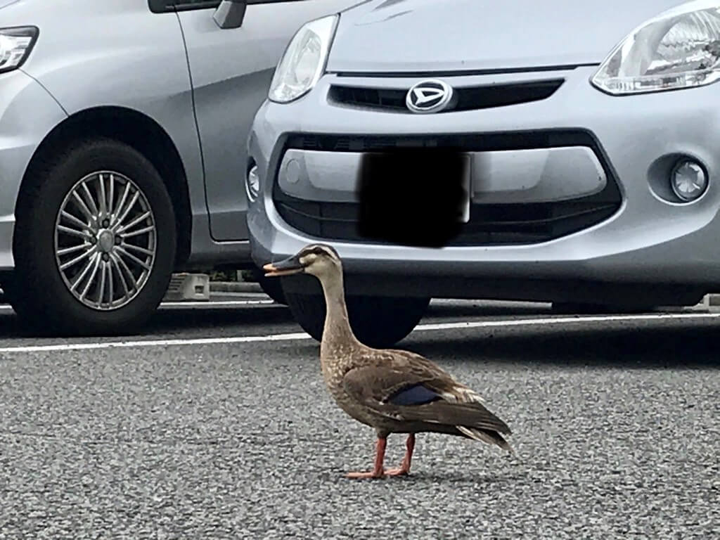 あなたは誰？（楠原）