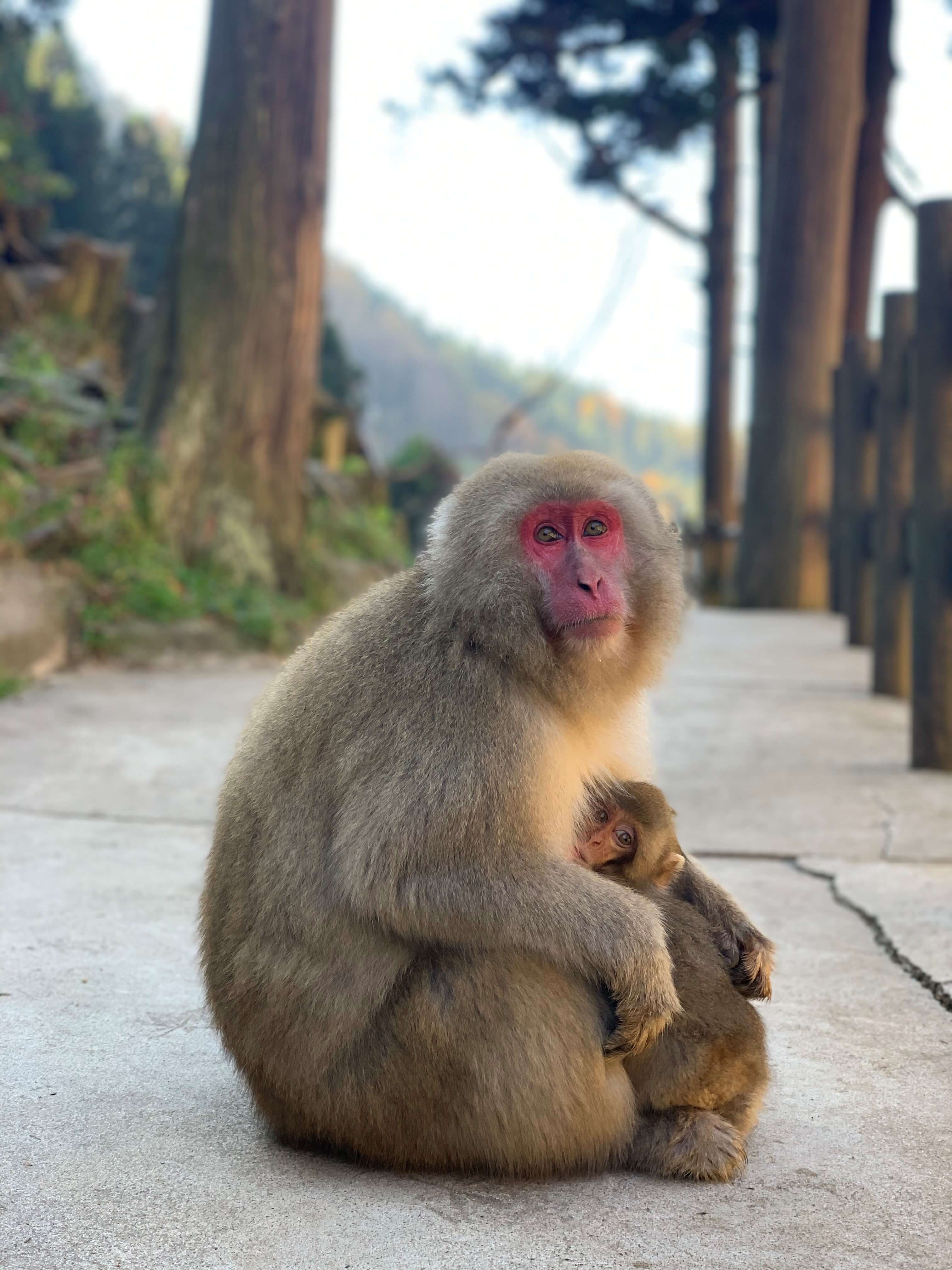 楠原佑介