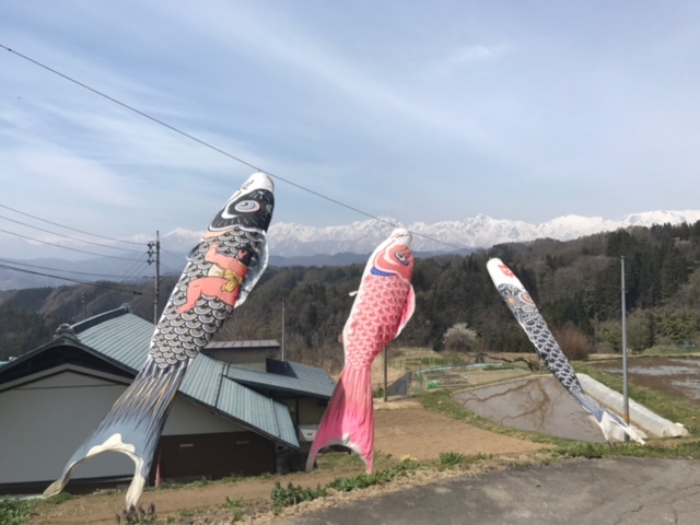 虫倉山（標高1378m）