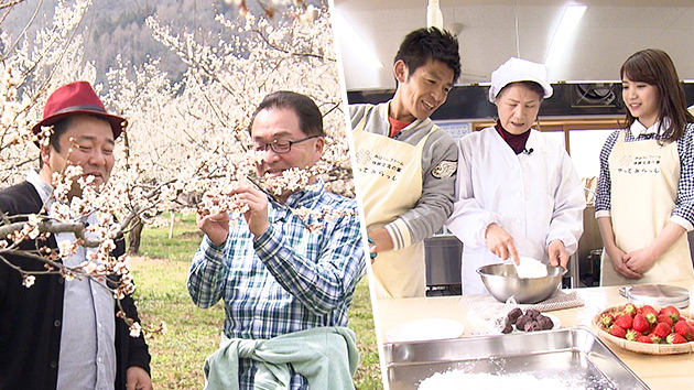 北信と南信の春探し対決!~春の息吹を求めて~(駅テレ)