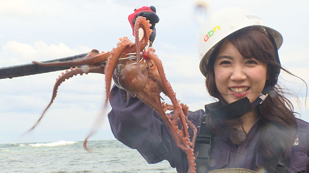 たこ漁|旬食ハンター! ~山と海の幸をゲットせよ~(10月6日 土曜 あさ9時30分)