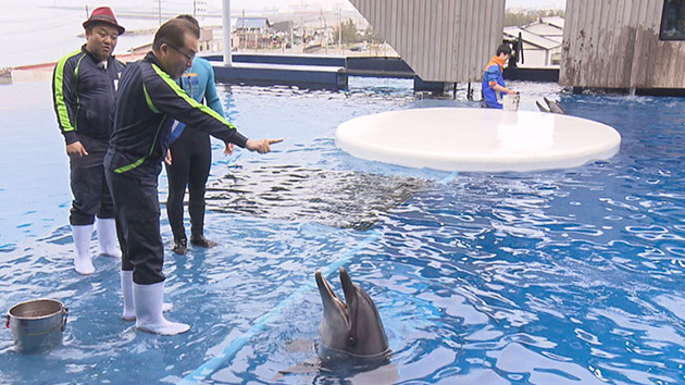 潜入!! ナイスミドル's ~ イケてる(?)大人の知らない世界 上越市立水族博物館の場合 ~