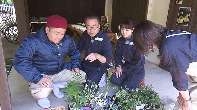 やまびこ造園YMO(ヤポン・松坂・大槻)|信州花フェスタ2019開催中スペシャル 百花繚乱!! やまびこ造園YMO ~新緑の信州を彩る3つのモスボール~