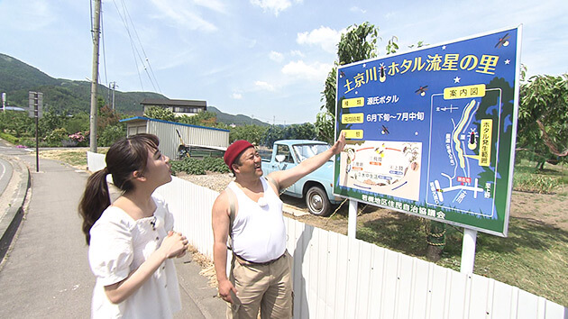 土京川 ホタル流星の里|夏を楽しむW特集! ホタルの乱舞&納涼スイーツ
