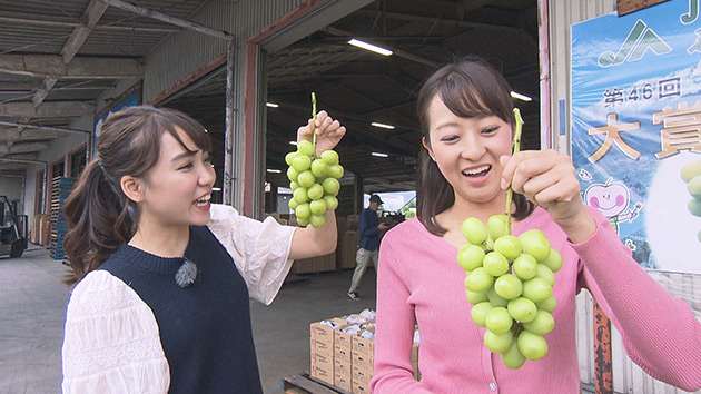 大槻アナ・中野アナ(中野市のブドウ集荷場)|信州 南北の“秋”ふれあい旅 ~ヤポンのお絵かき散歩&中野アナと行く中野市~