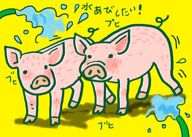 おぉ！信州人（トントンものがたり）