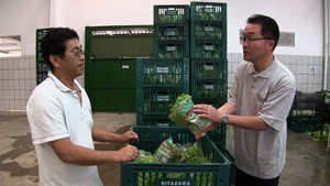 ブチョーのブラジル移住計画　希望の国の家族たち