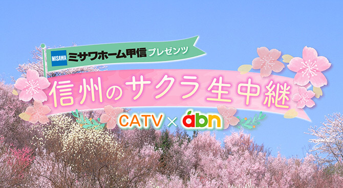 信州のサクラ生中継（abn×CATV）