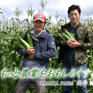 第29回 HAMARA FARM（ハマラファーム） 代表 折井祐介
