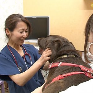 第62回 ぽっぽ動物病院 院長 松川 恵（6月7日 金曜 よる6時55分）