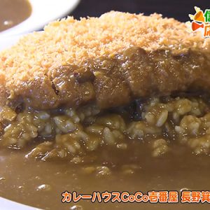 カレーハウスCoCo壱番屋 長野箕輪店（箕輪町）