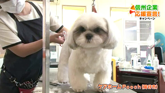 信州企業応援宣言 ケアホームpooch 岡谷市