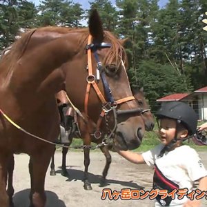 八ヶ岳ロングライディング（山梨県北杜市）