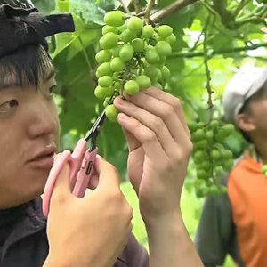 アンサンブル（駒ヶ根・松川・伊那）