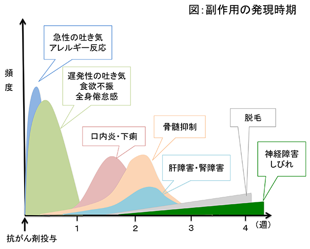 副作用の発現時期