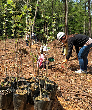 「森林の里親促進事業」青木村での植樹活動報告