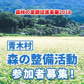 「森林の里親促進事業2018」青木村 森の整備活動参加者募集！