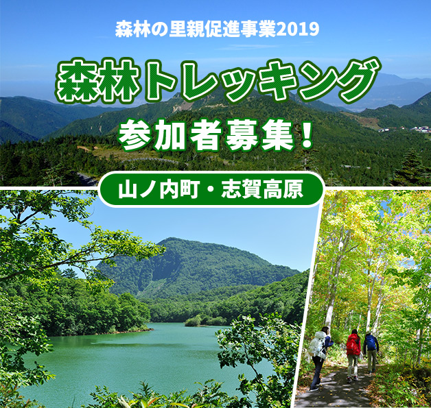 「森林の里親促進事業2019」山ノ内町・志賀高原「森林トレッキング」参加者募集！