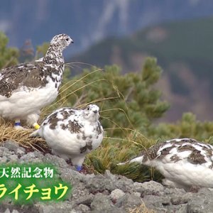 地球を守ろう！エコアクション（2023年4月20日 木曜 よる6時55分）