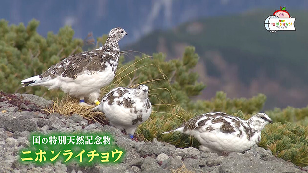 地球を守ろう！エコアクション