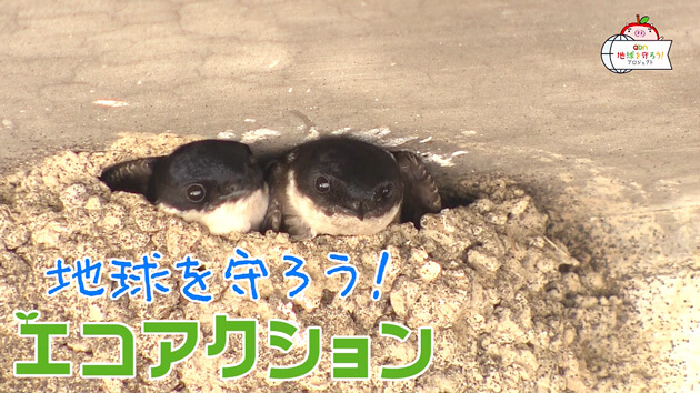 地球を守ろう！エコアクション