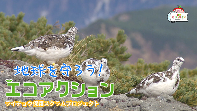 地球を守ろう！エコアクション（2024年1月18日 木曜 よる6時55分）