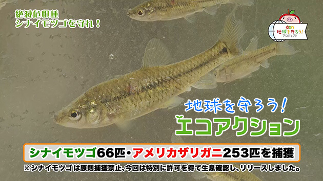 地球を守ろう！エコアクション